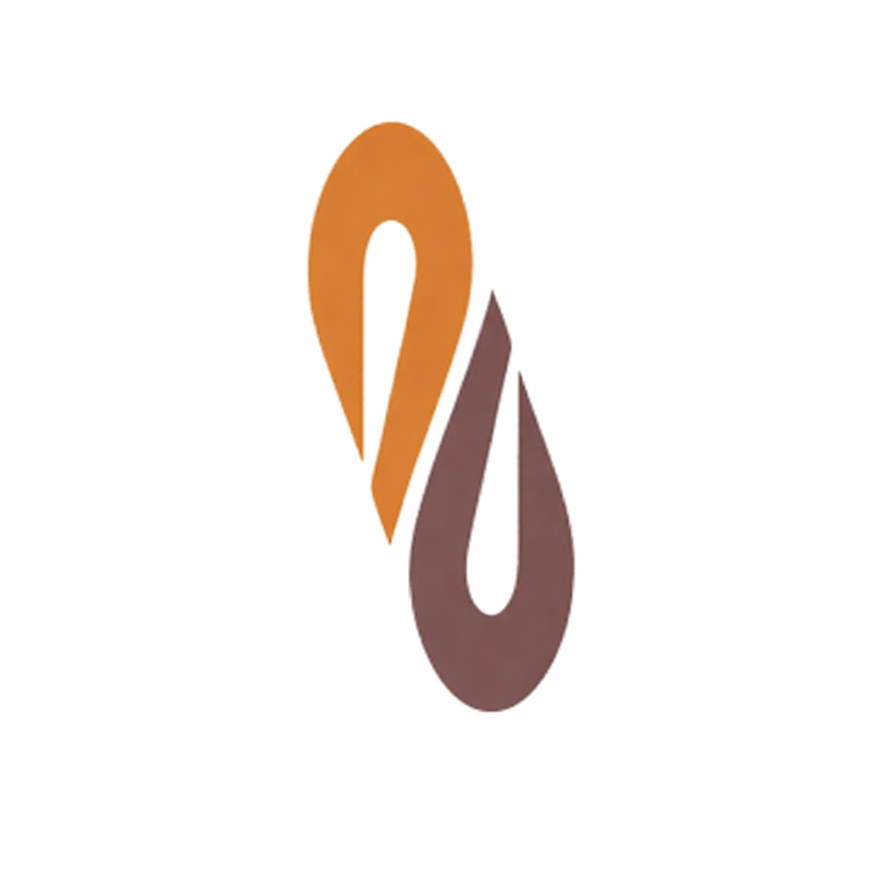 شركة البركة